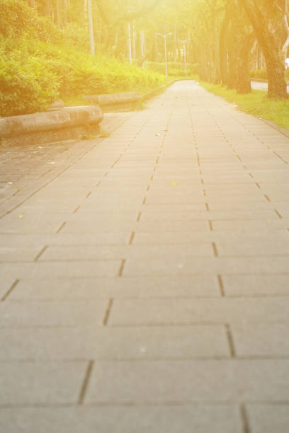 istock Trail in the Park. Spring scenery in Asia. 1153995111