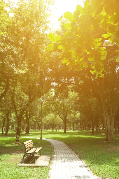 istock Trail in the Park. Spring scenery in Asia. 1153995124