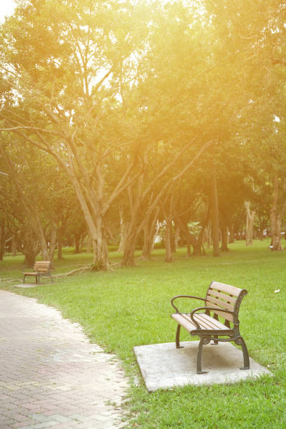 istock Trail in the Park. Spring scenery in Asia. 1153995127