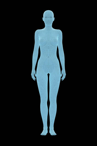 3D Rendering image of female human body. Wireframe model isolated on black background.