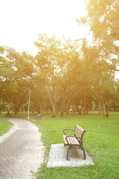 istock Trail in the Park. Spring scenery in Asia. 1153995203