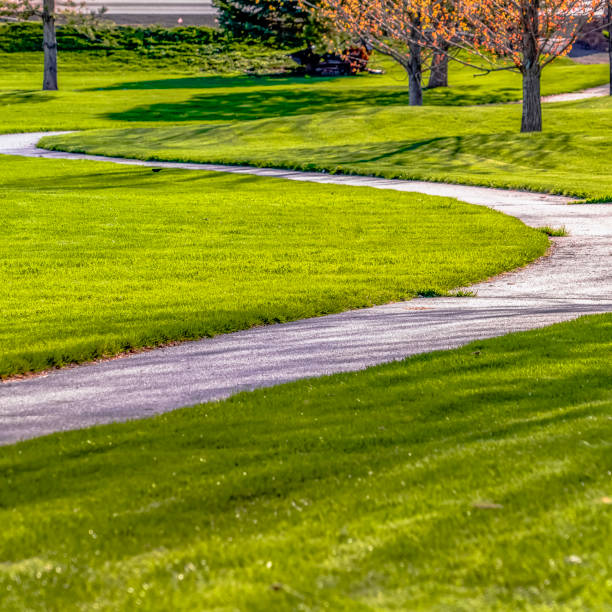 istock Frame Frame Square Grassy terrain with a curving pathway that leads to the road in front of houses 1153996488