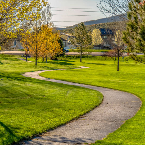 istock Frame Square Grassy terrain with a winding pathway and young trees viewed on a sunny day 1153996502