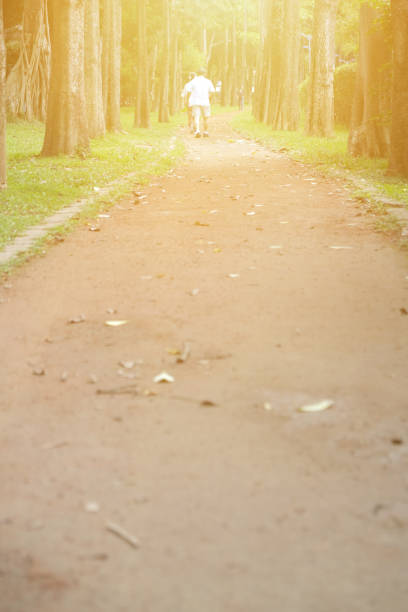 istock Trail in the Park. Spring scenery in Asia. 1153997485