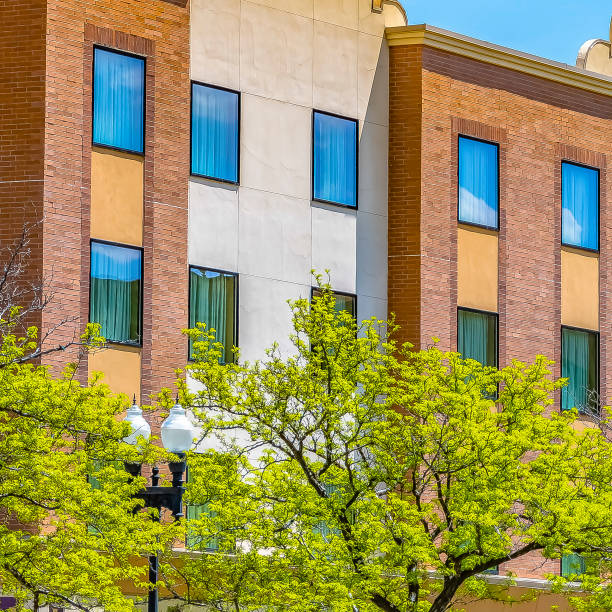 istock Square Trees with bright green foliage against a residential building with brick wall 1153997713