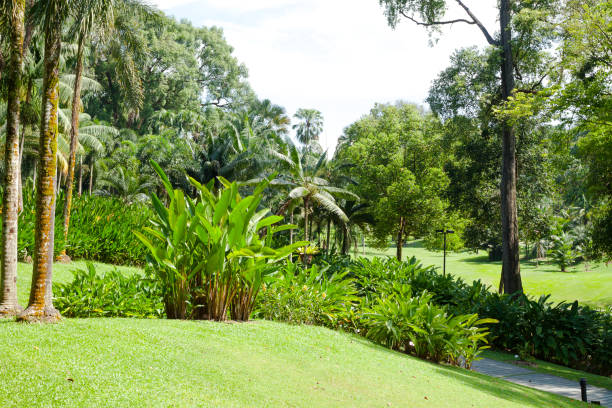 istock Orchid Park in Singapore 1153997782
