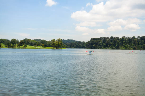 istock Scenics of Lower Peirce Reservoir 1153998040