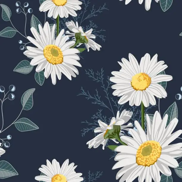 Vector illustration of Flower seamless pattern. Field herbs daisy textile print decoration on vintage dark blue background. Fashion traditional illustration vintage. Chamomile plant floral ditsy ornament art.