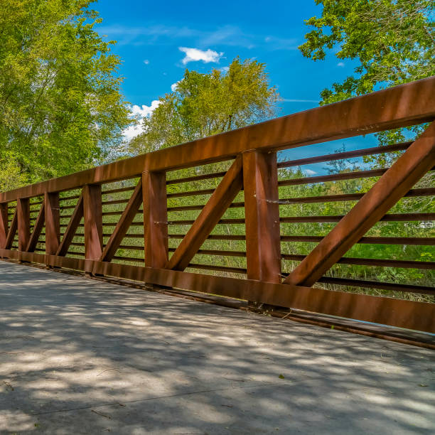 istock Frame Square Bridge overlooking luxuriant trees with bright green leaves against blue sky 1153999016