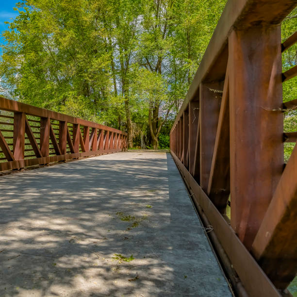 istock Square Bridge overlooking luxuriant trees with bright green leaves against blue sky 1153999094