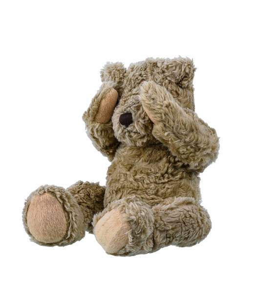 istock Cute brown teddy bear isolated on white background 1154001506