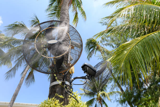istock Misting fan spraying steam on coconut tree 1154001681