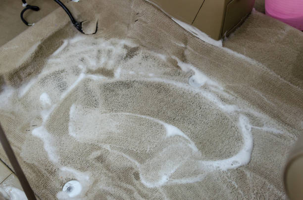 istock Wash the car carpet 1154010098