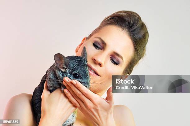 Chinchilla Pet Stock Photo - Download Image Now - Adult, Animal, Beautiful People