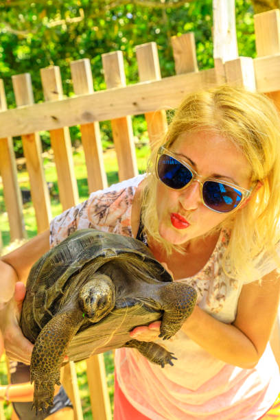 istock Aldabra Tortoise kissing 1154021043