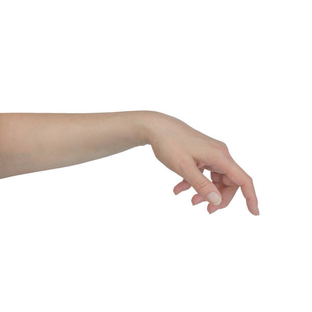 istock beautiful woman's hand isolated on white background 1154024006
