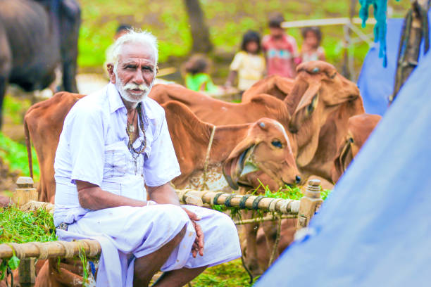 istock Rural India , Indian farmer 1154024167