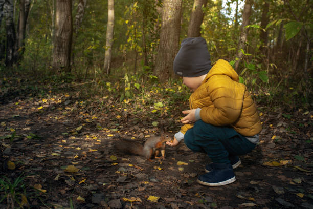 istock Little boy feeds a squirrel in the forest 1154030020