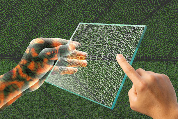 istock Cyborg's hand holding a transparent computer tablet with a glass in one hand. Human hand pointing at binary code on screen. 1154031859