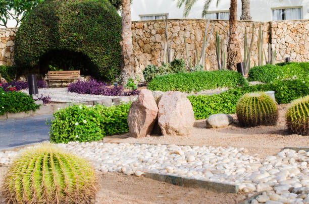 istock Well-groomed park area with palm trees and cacti. 1154037131