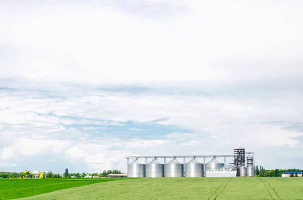 istock Metal modern elevator in the field of wheat 1154037151