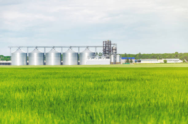 istock Metal modern elevator in the field of wheat 1154037160