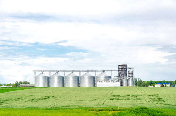 istock Metal modern elevator in the field of wheat 1154037163