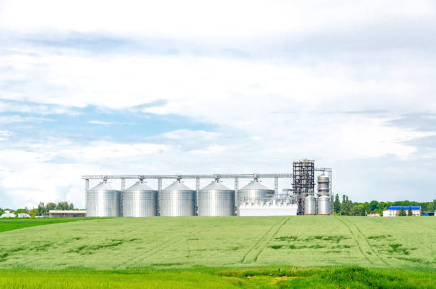металлический современный лифт в области пшеницы - prairie sky grass large стоковые фото и изображения