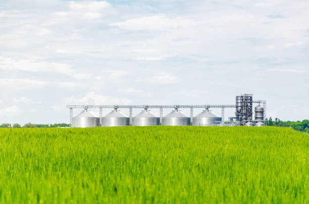 istock Metal modern elevator in the field of wheat 1154037250