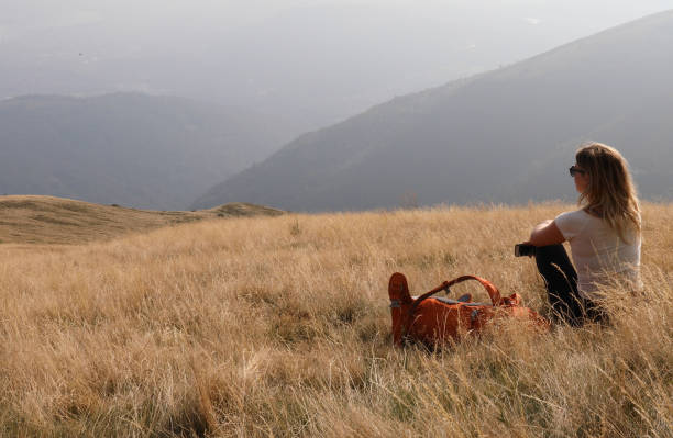 istock Female hiker holding phone sits down on grassy hillside 1154039898
