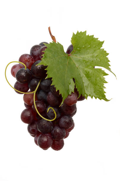 Juicy Grapes