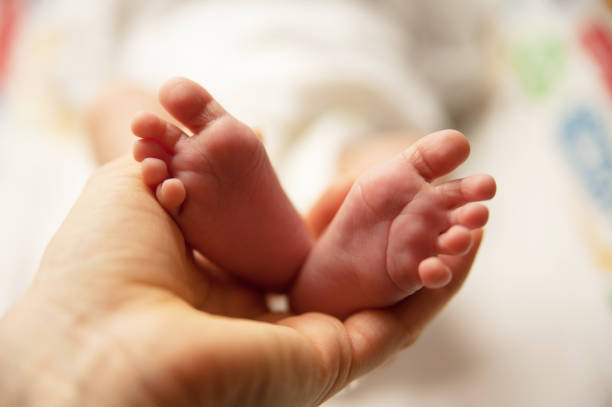 istock Little baby feet in mamas hands 1154041341