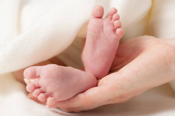 istock Little baby feet in mamas hands 1154041351