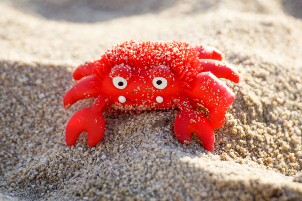 brinquedo vermelho colorido do caranguejo em uma praia - algi - fotografias e filmes do acervo