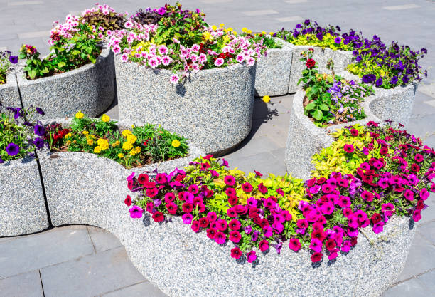 istock Granite decorative flower bed with different flowers 1154043855