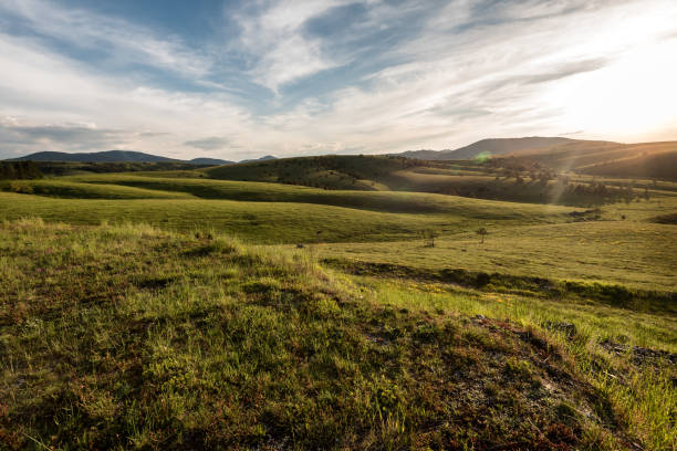 istock Landscape of Zlatibor Mountain 1154046465