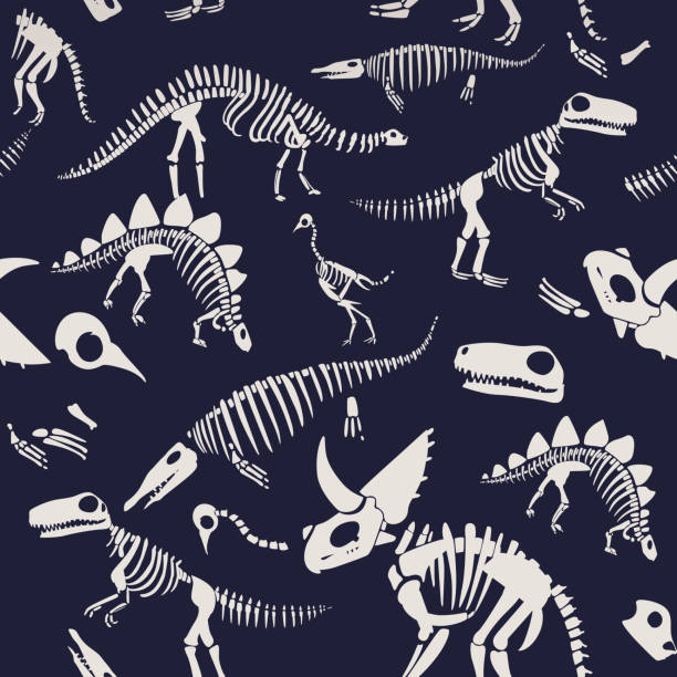 ilustraciones, imágenes clip art, dibujos animados e iconos de stock de vector t-rex dinosaurio esqueleto fósil icono en azul - dinosaur fossil tyrannosaurus rex animal skeleton