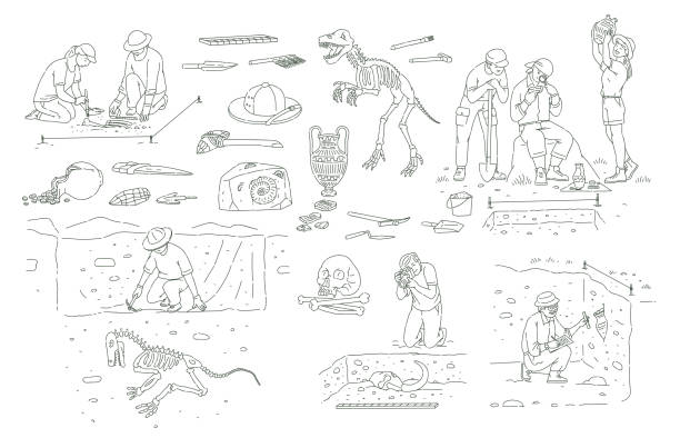 illustrazioni stock, clip art, cartoni animati e icone di tendenza di set di strumenti archeologici e persone che lavorano sullo stile di schizzo del contorno di scavo - paleontologo