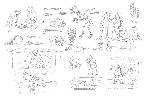 Set of archeology tools and people working on excavation outline sketch style Set of archeology tools and people working on excavation outline sketch style, vector illustration isolated on white background. Archaeologists researching ancient artifacts and bones paleontologist stock illustrations