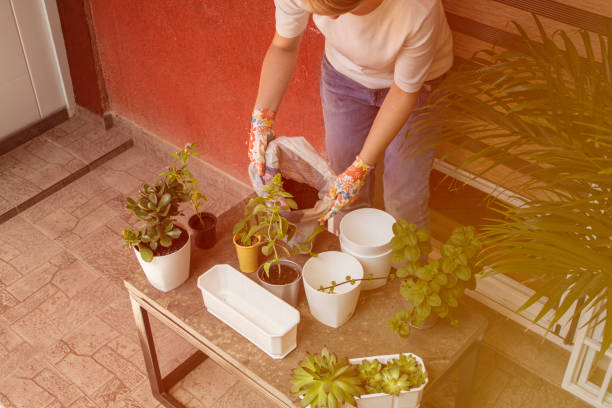 istock Making A Garden At The Terrace 1154051965