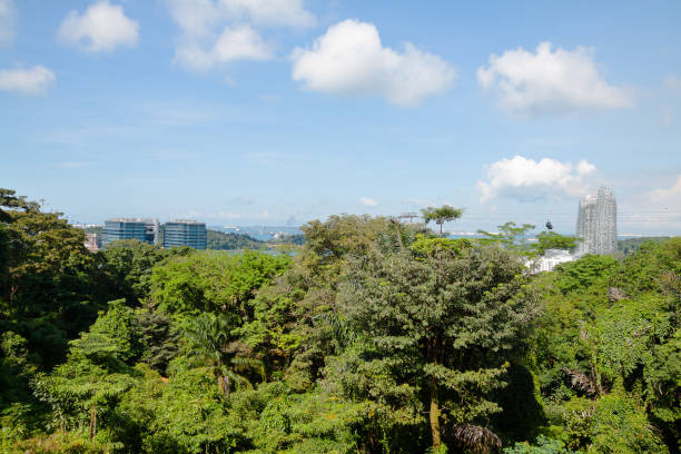 istock View back to Keppels Bay from Mount Faber 1154053157