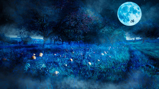 istock Scary halloween night scene with  a pumpkin field and a flying witch as a silhouette before the full moon. 1154056394