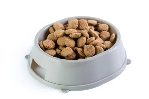 istock dry dog food isolated on white background 1154056656