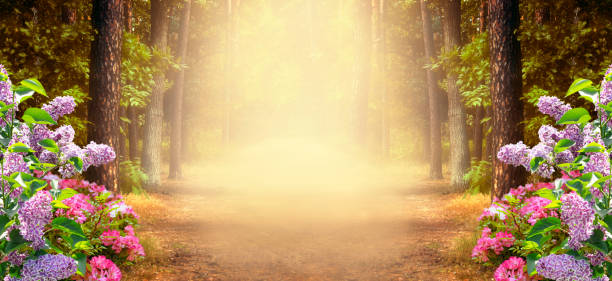 istock Fantasy summer panoramic photo background with pine tree forest, lilac and rose flowers bush and mysterious foggy trail 1154057311