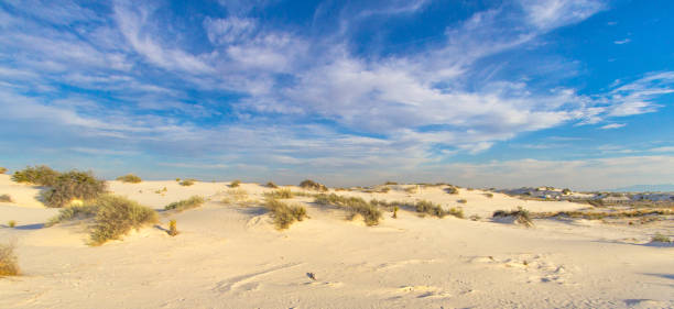 desert nature panorama - bizarre landscape sand blowing fotografías e imágenes de stock