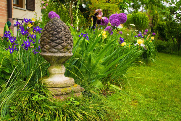 istock Italian Garden with Irises and Alliums 1154061105