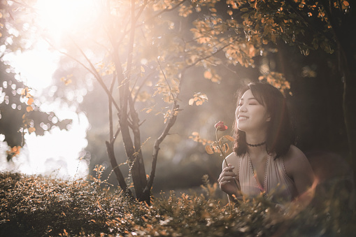 an asian chinese female portrait in the forest with morning sunlight