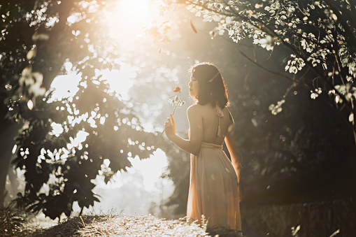 an asian chinese female portrait in the forest with morning sunlight