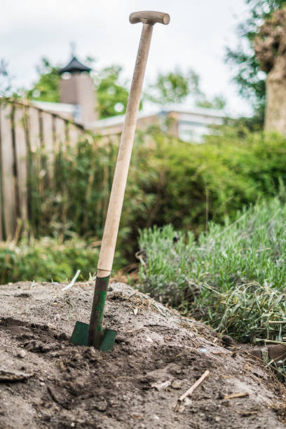 istock Shovel in the earth 1154065202