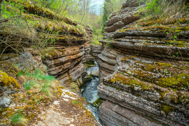 Beautiful mountain creek running through the canyon, Eastern Serbia